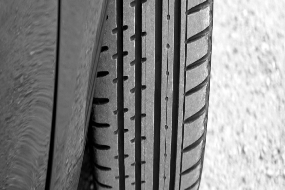 myoovi-cover-(1).jpg